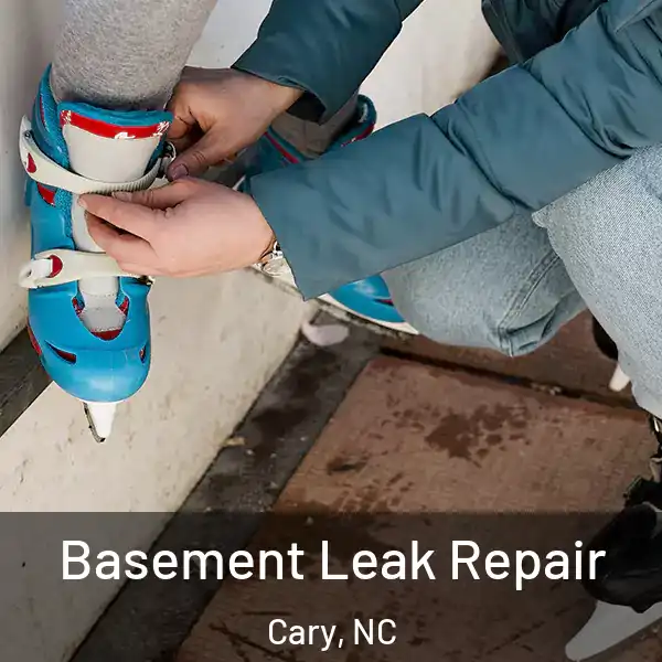  Basement Leak Repair Cary, NC