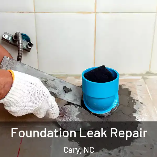  Foundation Leak Repair Cary, NC
