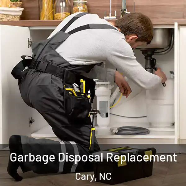  Garbage Disposal Replacement Cary, NC