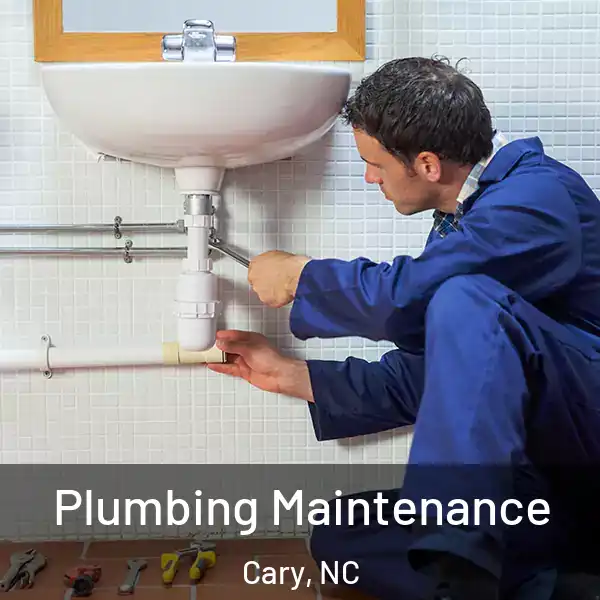  Plumbing Maintenance Cary, NC