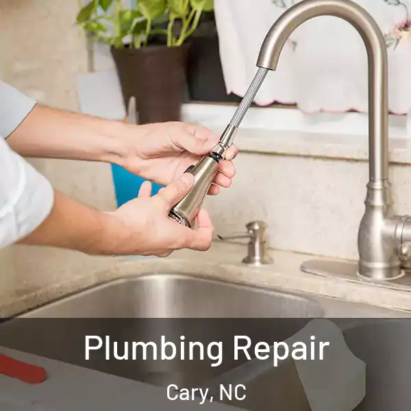  Plumbing Repair Cary, NC