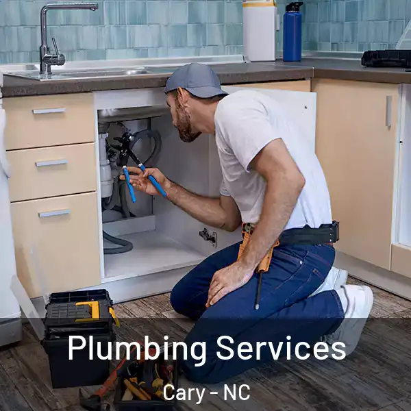  Plumbing Services Cary - NC