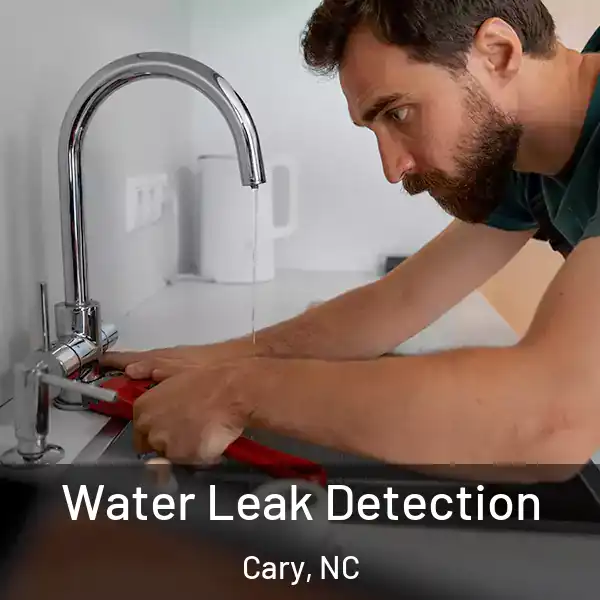  Water Leak Detection Cary, NC